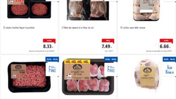 catalogue lidl 01/02/2021