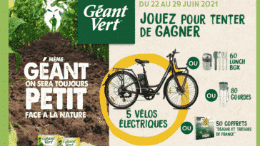 Grand Jeu Géant Vert Auchan sur jeu-geant-vert.fr