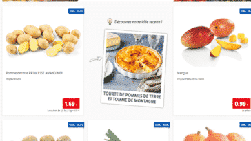 catalogue lidl 17/01/2022