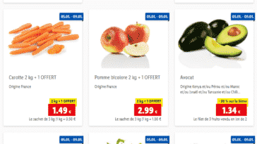 catalogue lidl 10/01/2022