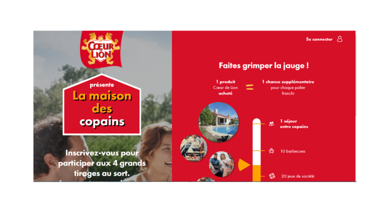jeu La Maison des Copains Coeur de Lion sur maison-des-copains.com