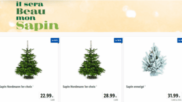 Sapin Lidl