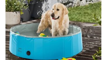 piscine lidl chien