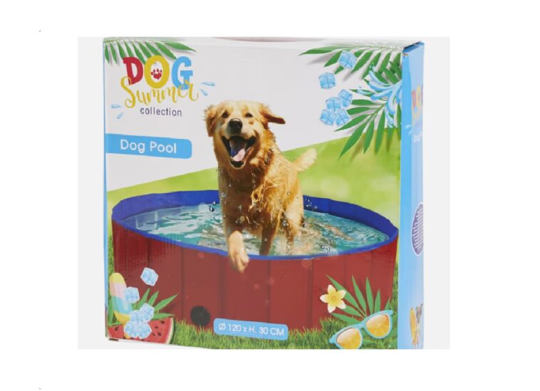 piscine chien action