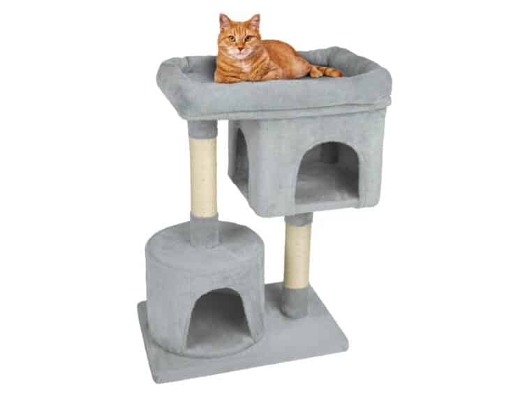Arbre à chat Lidl