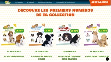 Peluches chiens Hachette