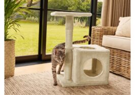 Arbre à chat Lidl