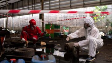 Société de dégorgement 11 novembre 2025