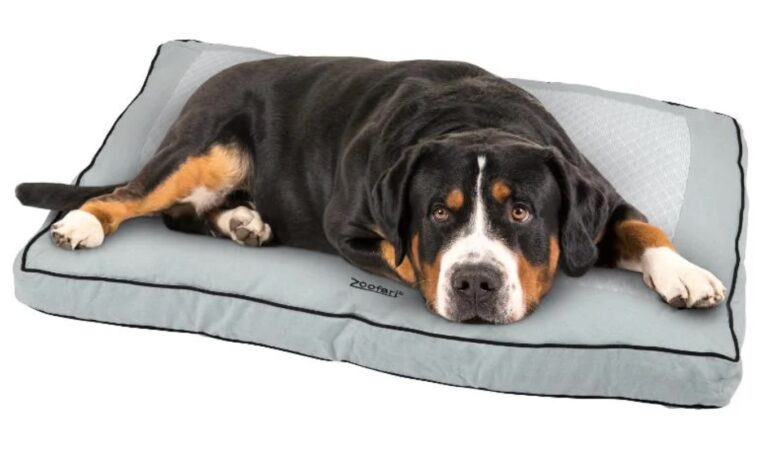 Coussin Lidl chien