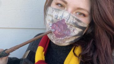 decouvrez le masque harry potter