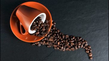 explication du succes machines a cafe avec broyeur