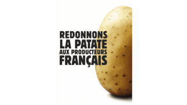 burger king patate