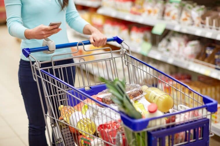 Chèque alimentaire 2023
