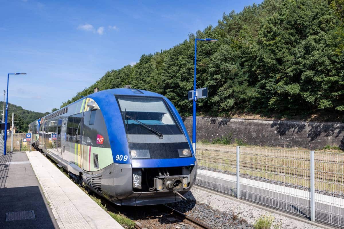 paris-marseille-quel-transport-pour-vos-