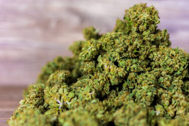 cannabidiol-conseil-etat