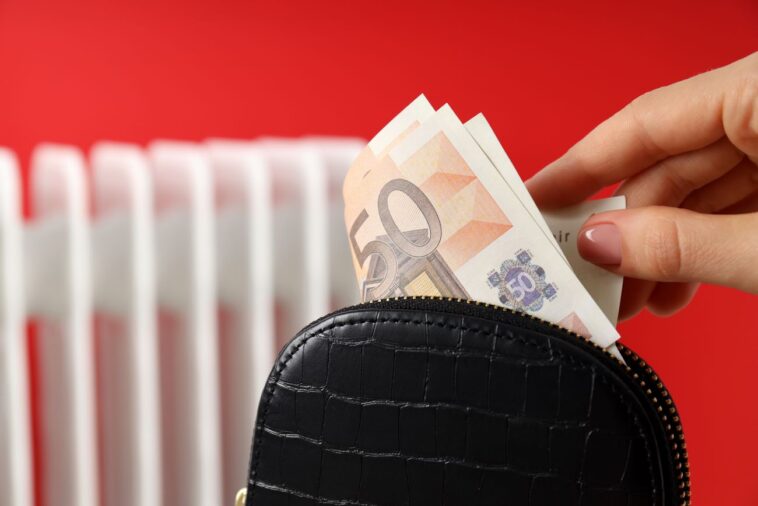 chèque énergie utilisation