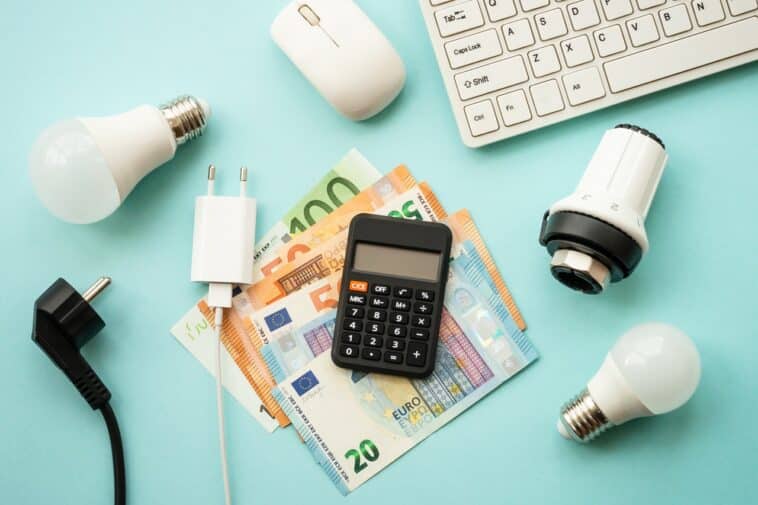 Chèque énergie 2023 non reçu raisons