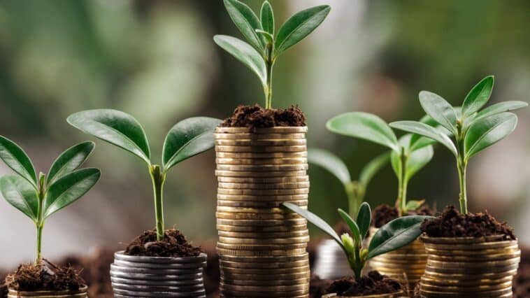 investir argent meilleurs placements