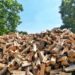 prix d'un stère de bois 50 cm mars 2023